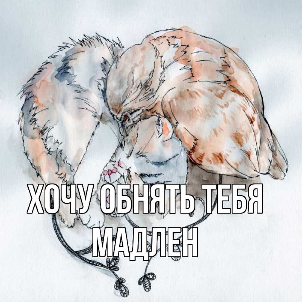 Открытка на каждый день с именем, Мадлен Хочу обнять тебя можно быть вместе даже когда очень разные Прикольная открытка с пожеланием онлайн скачать бесплатно 