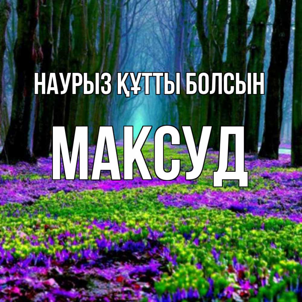 Открытка на каждый день с именем, Максуд Наурыз құтты болсын фиолетовые цветы в лесу 1 Прикольная открытка с пожеланием онлайн скачать бесплатно 