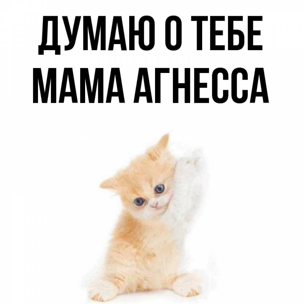 Открытка на каждый день с именем, Мама-Агнесса Думаю о тебе зверушки и милота Прикольная открытка с пожеланием онлайн скачать бесплатно 