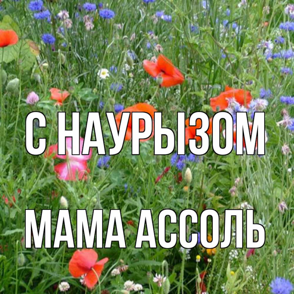 Открытка на каждый день с именем, Мама-Ассоль С наурызом праздник весны наурыз супер открытка Прикольная открытка с пожеланием онлайн скачать бесплатно 