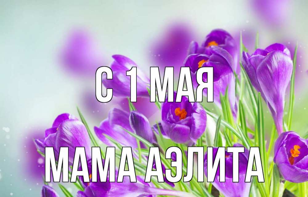 Открытка на каждый день с именем, Мама-Аэлита С 1 мая 1 мая Прикольная открытка с пожеланием онлайн скачать бесплатно 