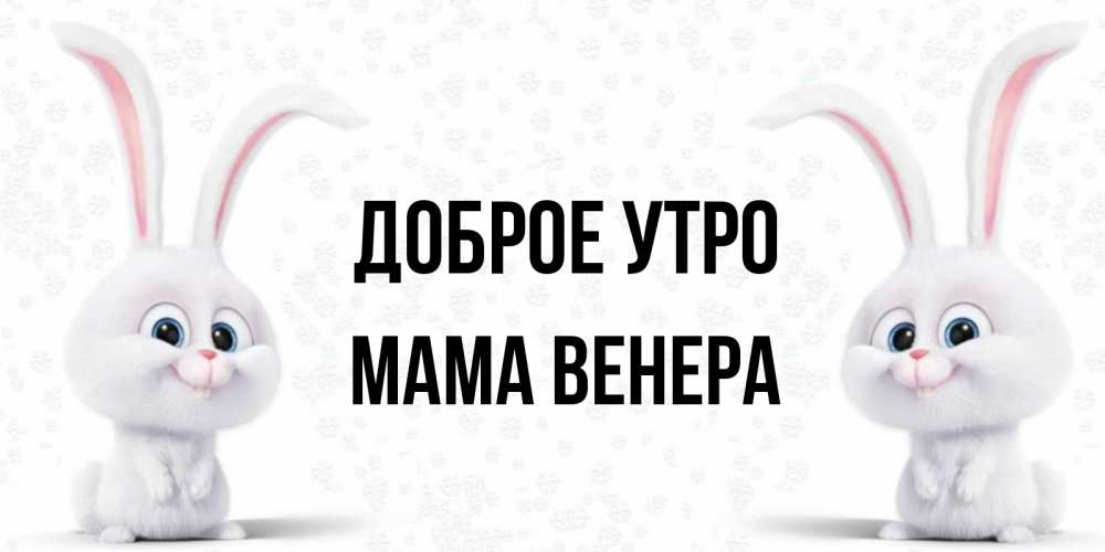 Открытка на каждый день с именем, Мама-Венера Доброе утро кролики с длинными ушками Прикольная открытка с пожеланием онлайн скачать бесплатно 