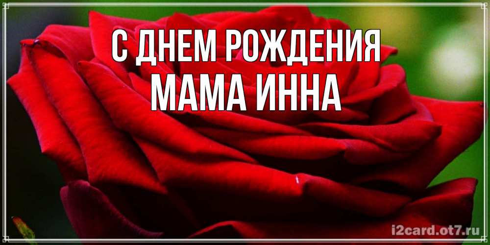 Открытка на каждый день с именем, Мама-Инна С днем рождения розочка очень красивая Прикольная открытка с пожеланием онлайн скачать бесплатно 