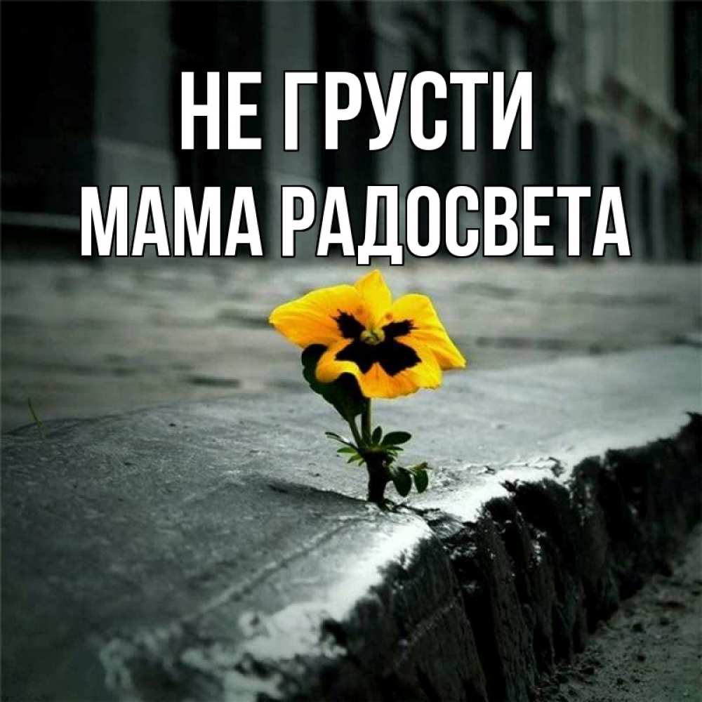 Открытка на каждый день с именем, Мама-Радосвета Не грусти не сдавайся Прикольная открытка с пожеланием онлайн скачать бесплатно 