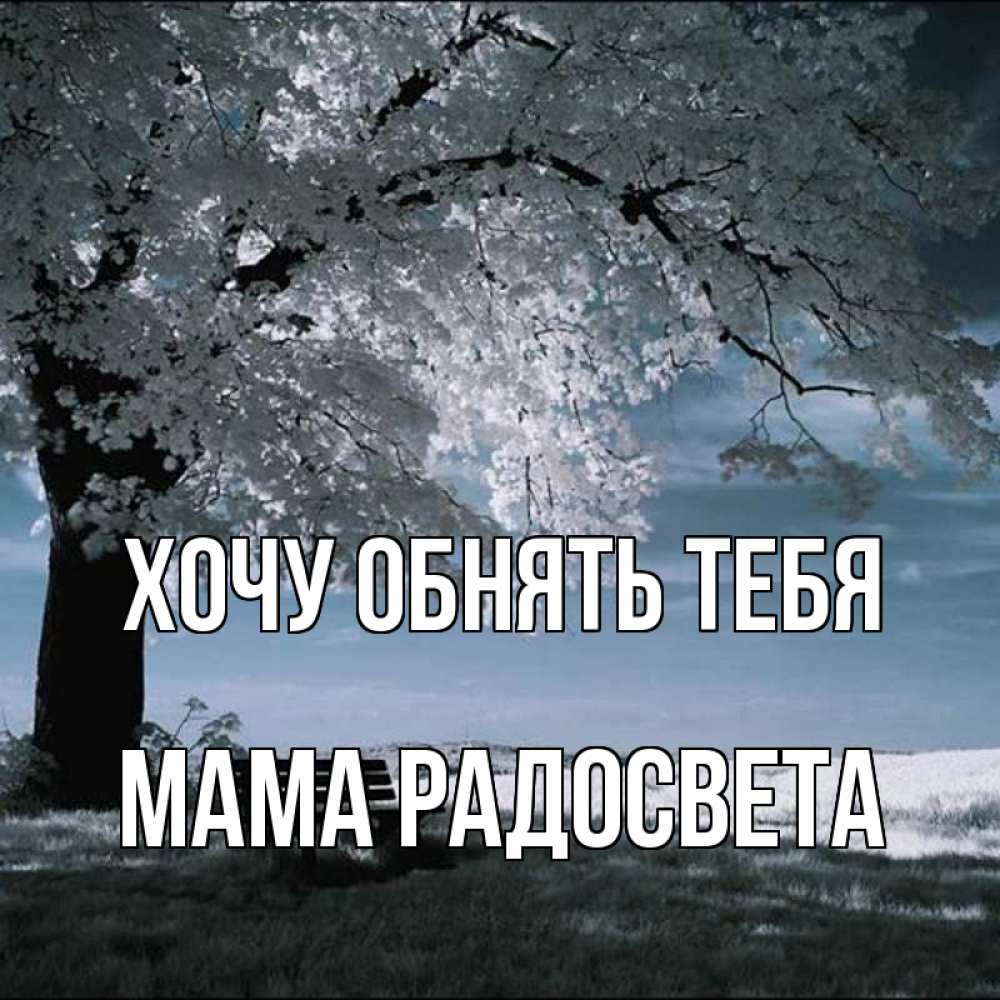 Открытка на каждый день с именем, Мама-Радосвета Хочу обнять тебя дерево Прикольная открытка с пожеланием онлайн скачать бесплатно 