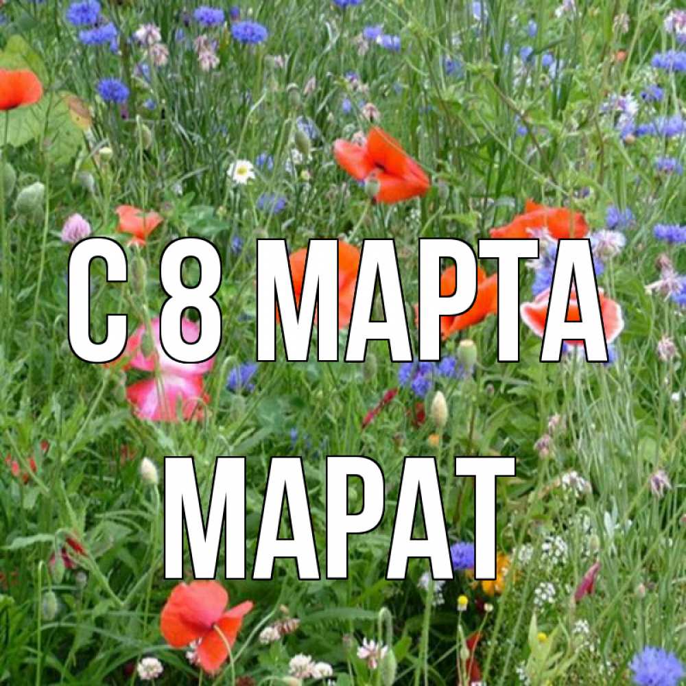 Открытка на каждый день с именем, Марат С 8 МАРТА международный женский день 4 Прикольная открытка с пожеланием онлайн скачать бесплатно 