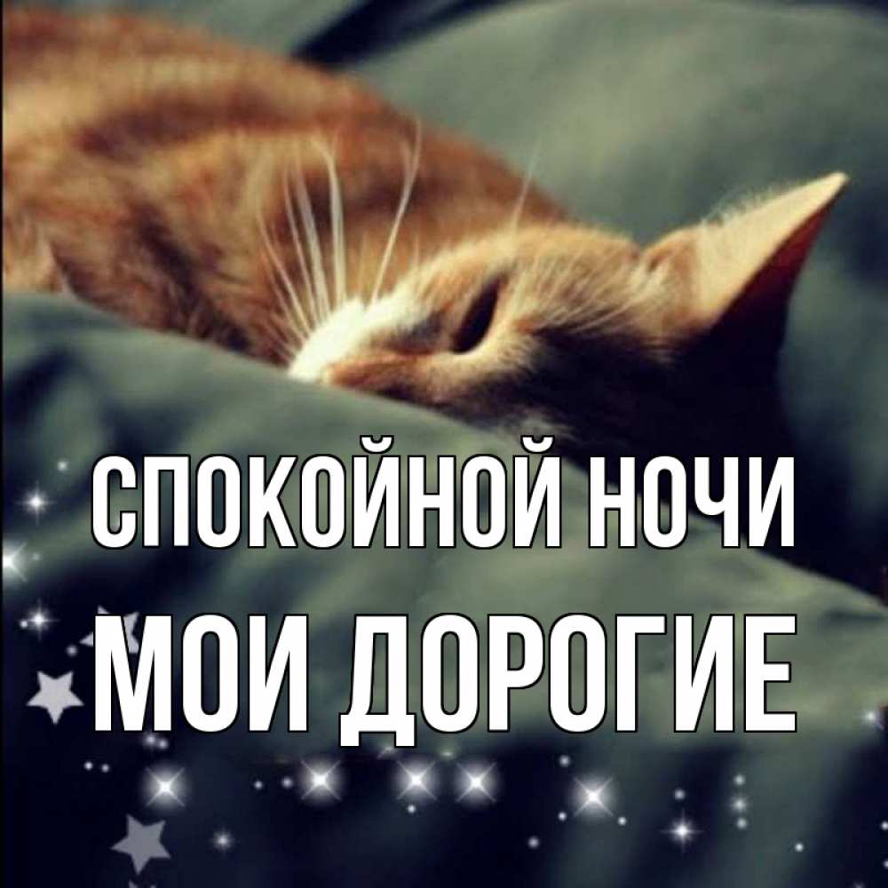 Открытка на каждый день с именем, Мои-дорогие Спокойной ночи кроватка Прикольная открытка с пожеланием онлайн скачать бесплатно 