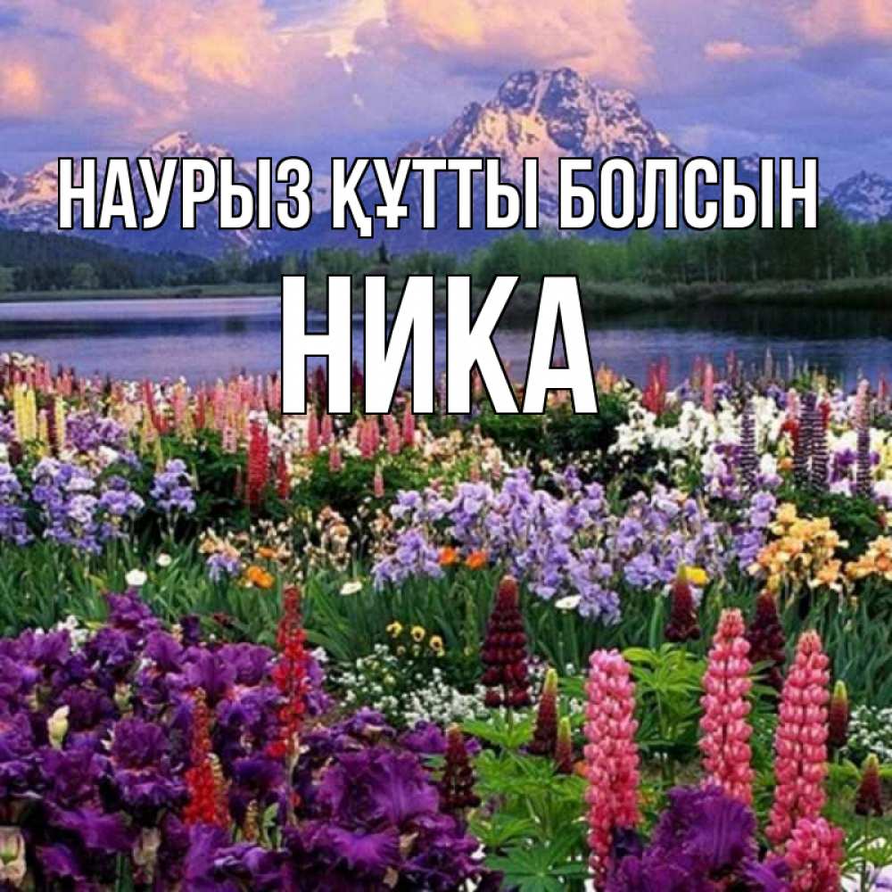 Открытка на каждый день с именем, Ника Наурыз құтты болсын наурыз Прикольная открытка с пожеланием онлайн скачать бесплатно 