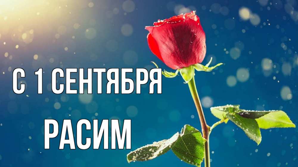 Открытка на каждый день с именем, Расим С 1 сентября с днем знаний Прикольная открытка с пожеланием онлайн скачать бесплатно 