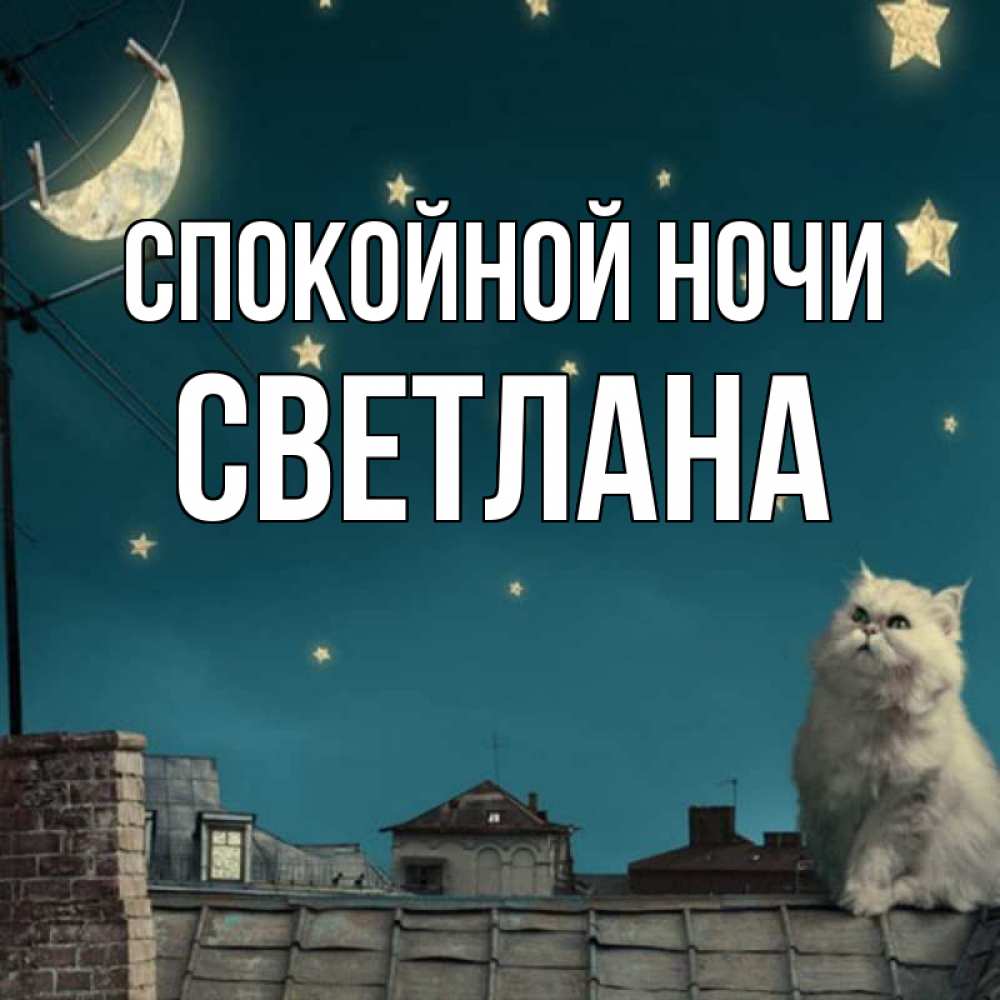 Открытка на каждый день с именем, Светлана Спокойной ночи белый кот сидит на крыше Прикольная открытка с пожеланием онлайн скачать бесплатно 