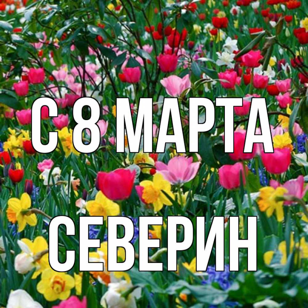 Открытка на каждый день с именем, Северин С 8 марта с международным женским днем поздравления для женщины Прикольная открытка с пожеланием онлайн скачать бесплатно 