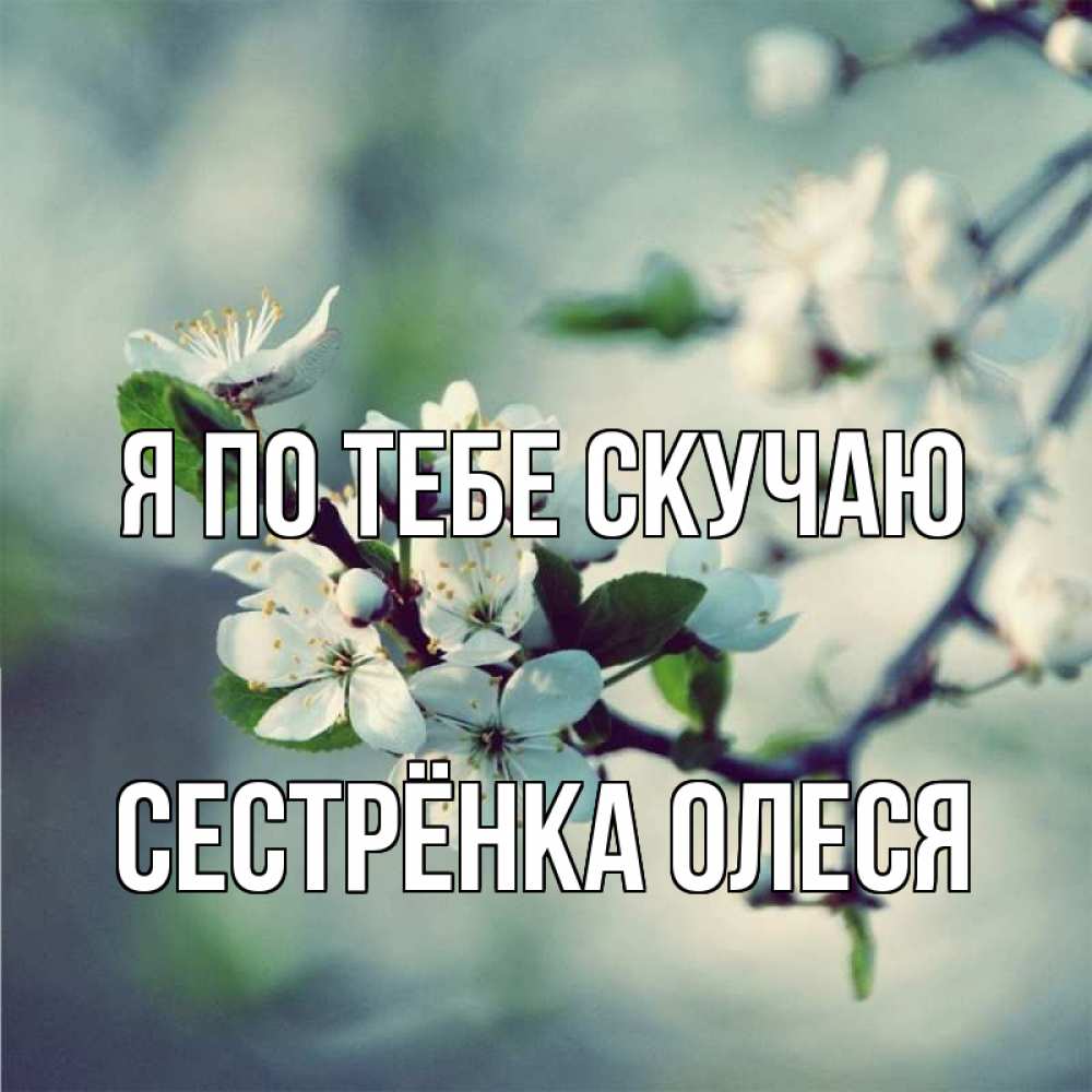 Открытка на каждый день с именем, Сестрёнка-Олеся Я по тебе скучаю весна Прикольная открытка с пожеланием онлайн скачать бесплатно 