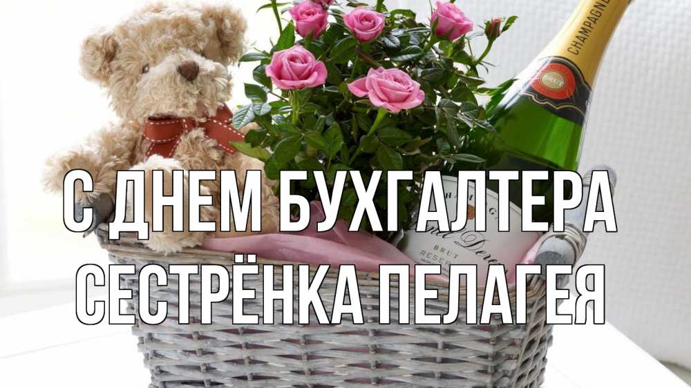 Открытка на каждый день с именем, Сестрёнка-Пелагея С днем бухгалтера с днем бухгалтера Прикольная открытка с пожеланием онлайн скачать бесплатно 