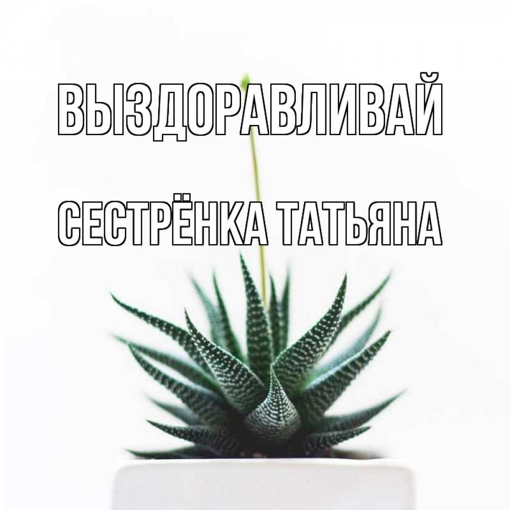 Открытка на каждый день с именем, Сестрёнка-Татьяна Выздоравливай короче это непонятная колючка Прикольная открытка с пожеланием онлайн скачать бесплатно 