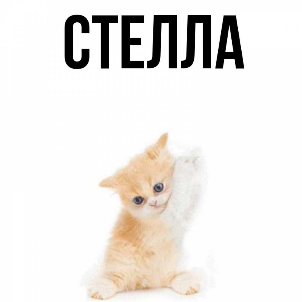 Открытка на каждый день с именем, Стелла Главная я хочу очень скорее обнимаешек Прикольная открытка с пожеланием онлайн скачать бесплатно 