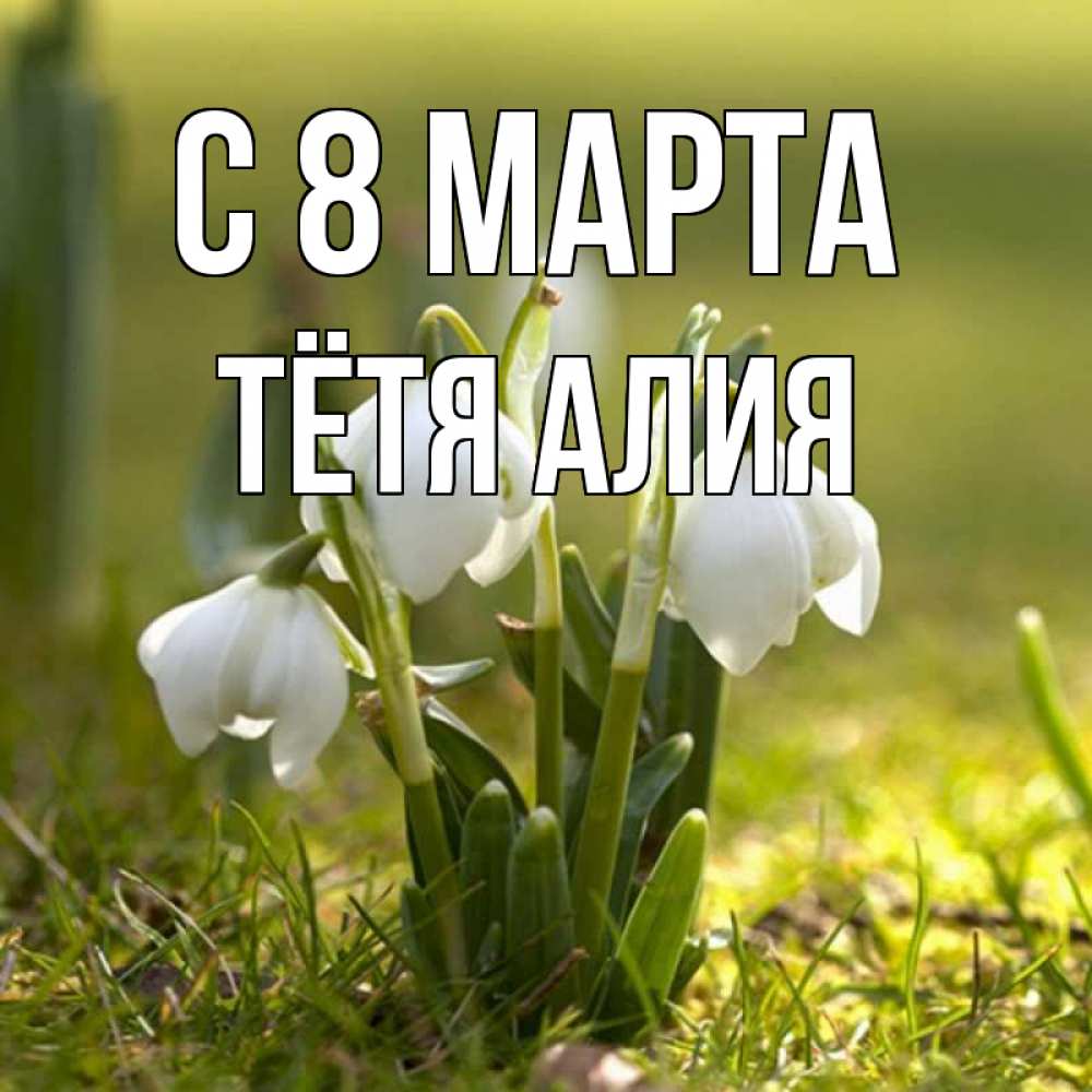 Открытка на каждый день с именем, Тётя-Алия С 8 МАРТА ранние цветы 2 Прикольная открытка с пожеланием онлайн скачать бесплатно 