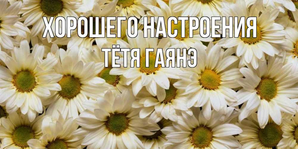 Открытка на каждый день с именем, Тётя-Гаянэ Хорошего настроения крупные ромашки Прикольная открытка с пожеланием онлайн скачать бесплатно 