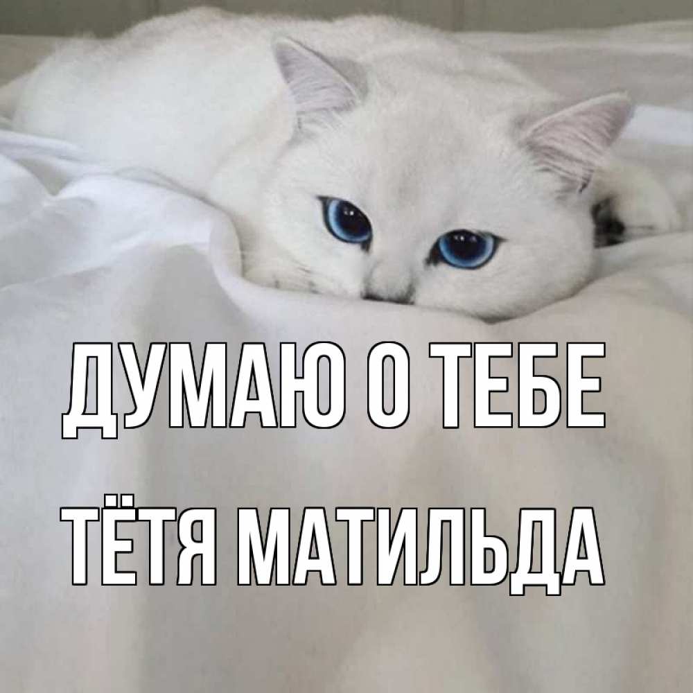 Открытка на каждый день с именем, Тётя-Матильда Думаю о тебе я очень по тебе скучаю и тоскую Прикольная открытка с пожеланием онлайн скачать бесплатно 
