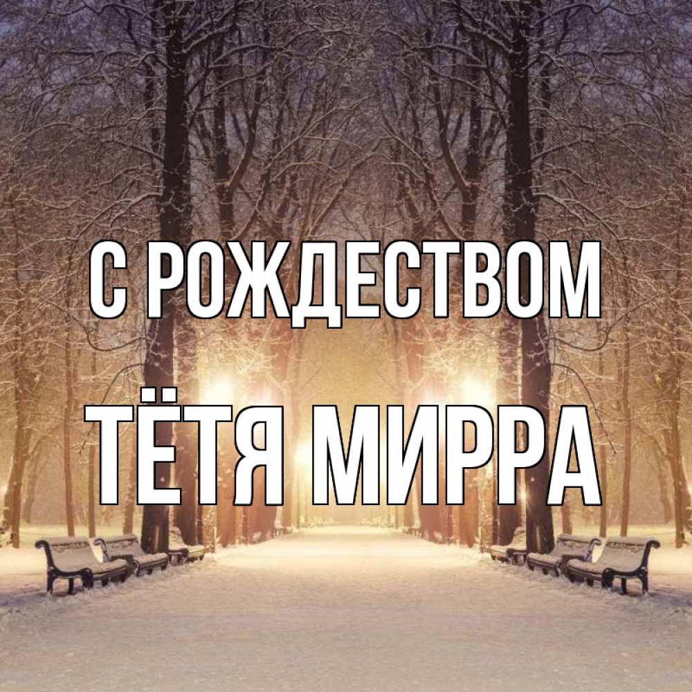 Открытка на каждый день с именем, Тётя-Мирра С рождеством зима, парк, фонарь, лес Прикольная открытка с пожеланием онлайн скачать бесплатно 