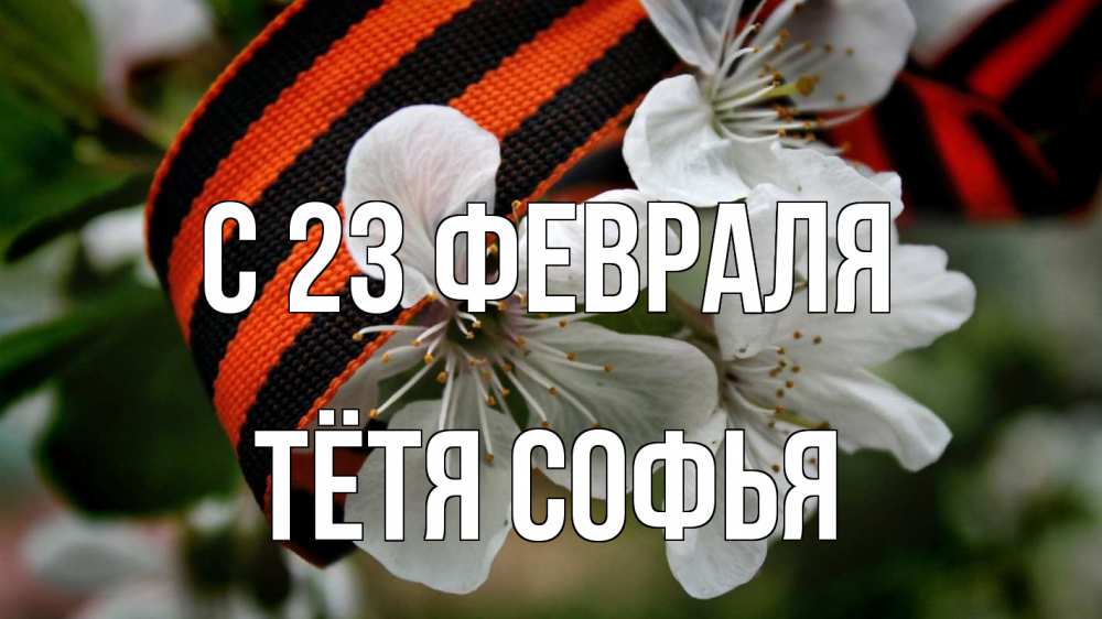 Открытка на каждый день с именем, Тётя-Софья С 23 февраля 23 февраля Прикольная открытка с пожеланием онлайн скачать бесплатно 