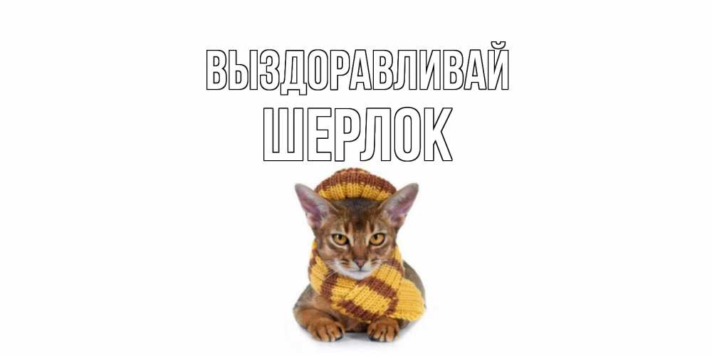 Открытка на каждый день с именем, Шерлок Выздоравливай родные не болейте Прикольная открытка с пожеланием онлайн скачать бесплатно 