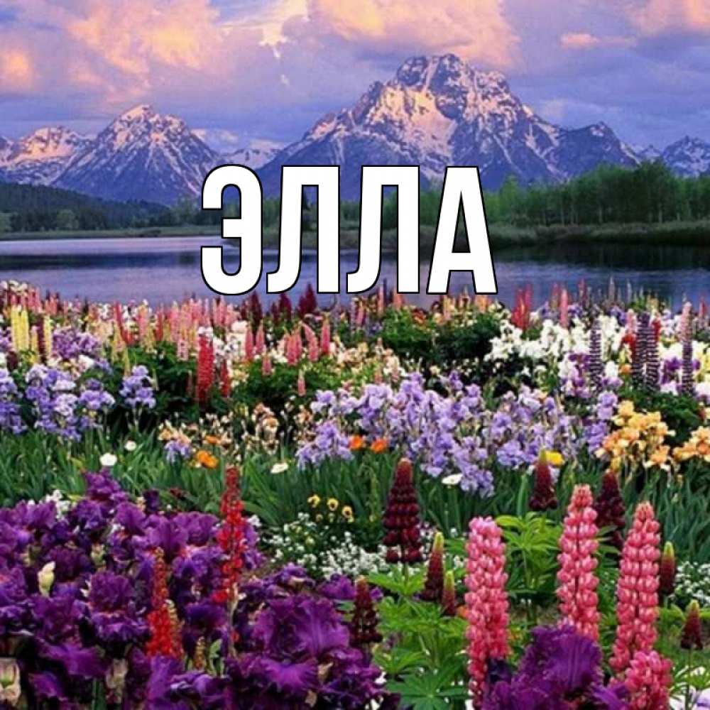 Открытка на каждый день с именем, Элла Главная наурыз Прикольная открытка с пожеланием онлайн скачать бесплатно 