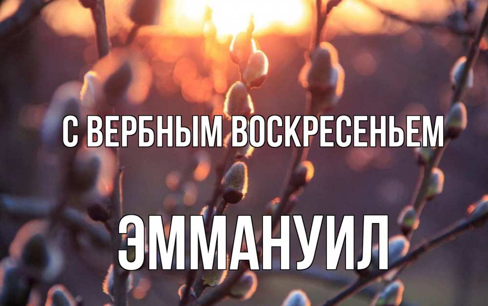 Открытка на каждый день с именем, Эммануил С вербным воскресеньем верба Прикольная открытка с пожеланием онлайн скачать бесплатно 