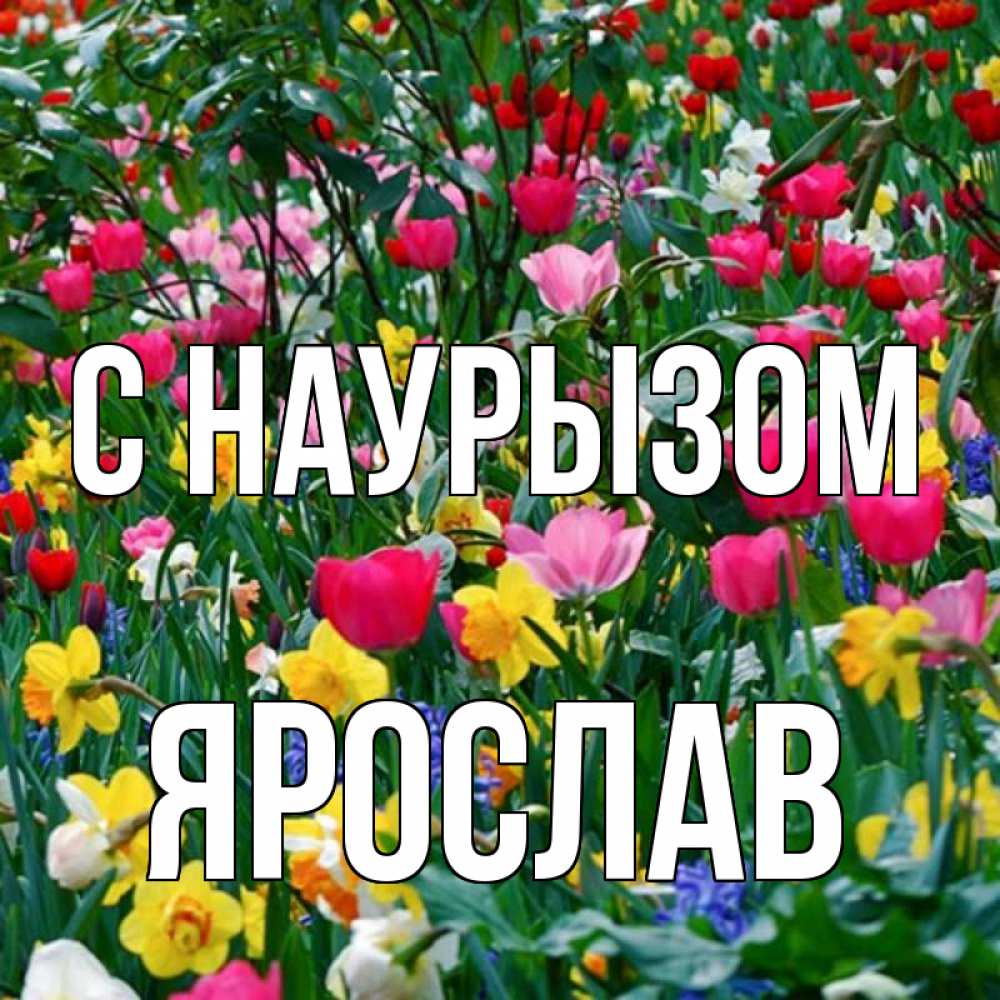 Открытка на каждый день с именем, Ярослав С наурызом с наурызом праздником весны поздравления для женщины Прикольная открытка с пожеланием онлайн скачать бесплатно 