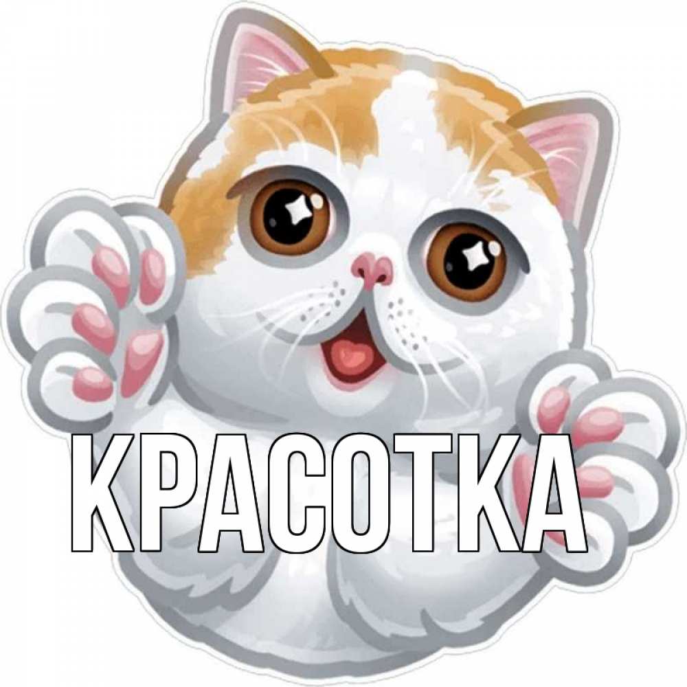 Открытка на каждый день с именем, красотка Главная хаги Прикольная открытка с пожеланием онлайн скачать бесплатно 