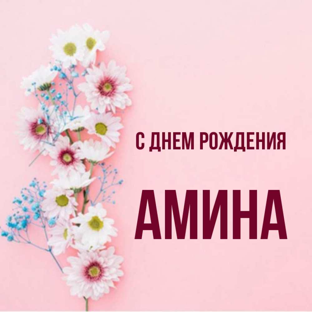 Картинка С Днем Рождения Амина