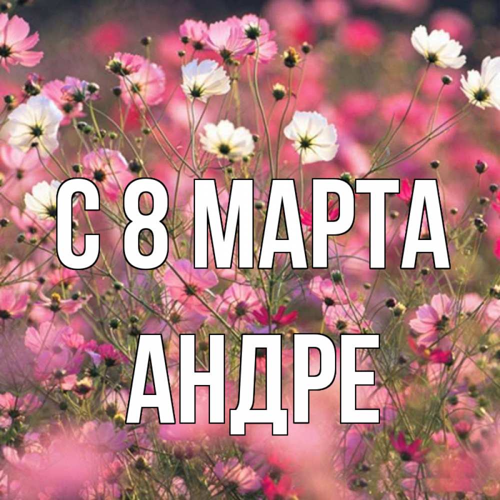 Открытка на каждый день с именем, Андре С 8 МАРТА красиво 1 Прикольная открытка с пожеланием онлайн скачать бесплатно 