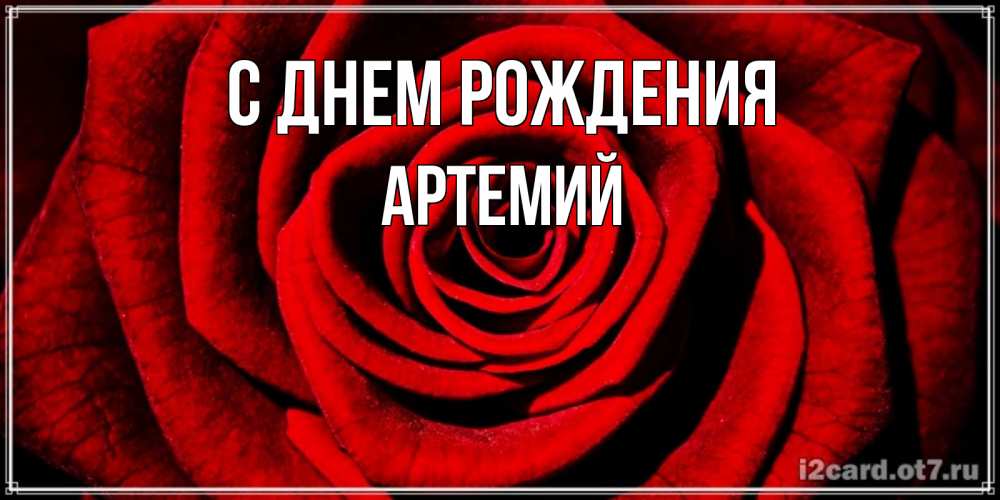 Открытка на каждый день с именем, Артемий С днем рождения алая роза Прикольная открытка с пожеланием онлайн скачать бесплатно 