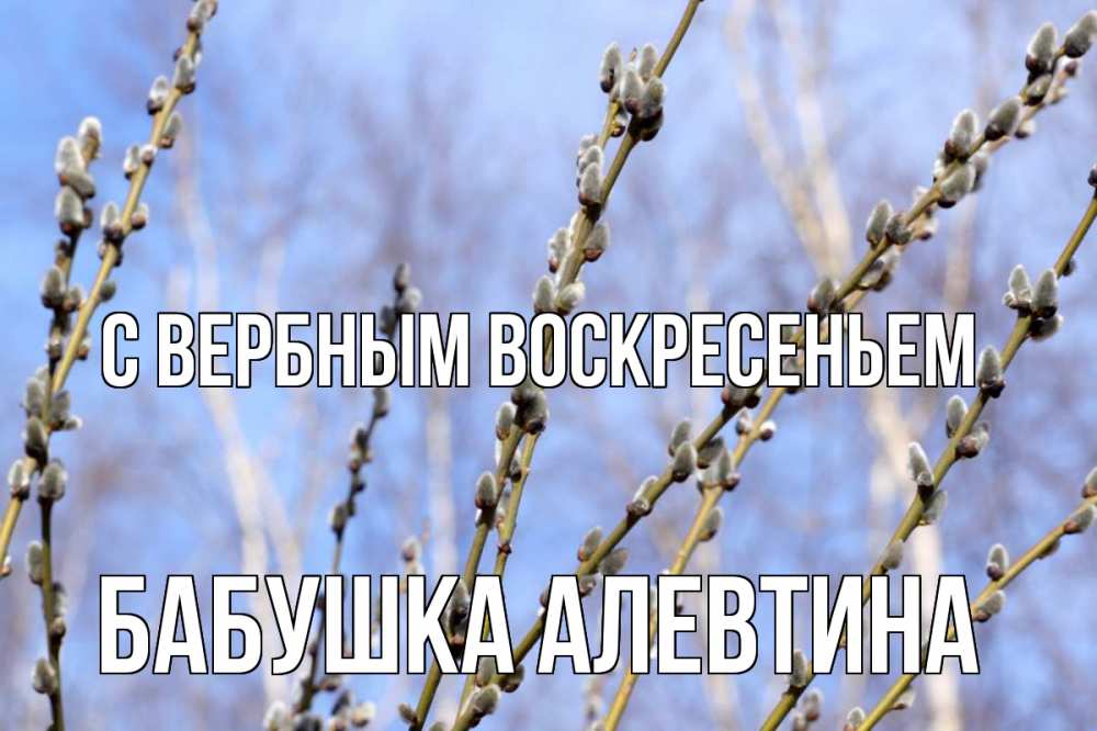 Открытка на каждый день с именем, Бабушка-Алевтина С вербным воскресеньем верба Прикольная открытка с пожеланием онлайн скачать бесплатно 
