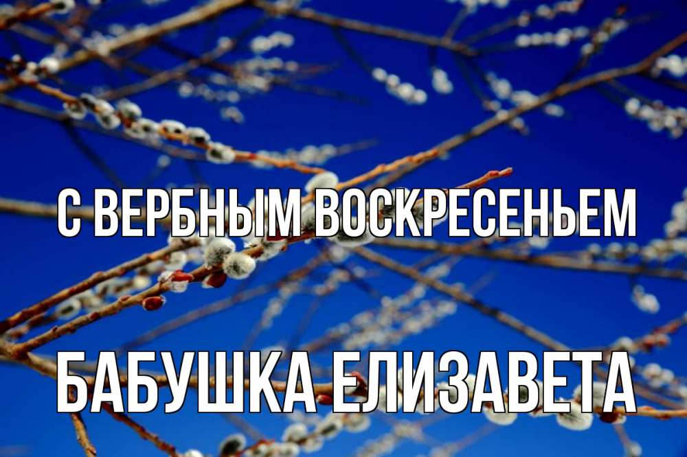Открытка на каждый день с именем, Бабушка-Елизавета С вербным воскресеньем верба Прикольная открытка с пожеланием онлайн скачать бесплатно 
