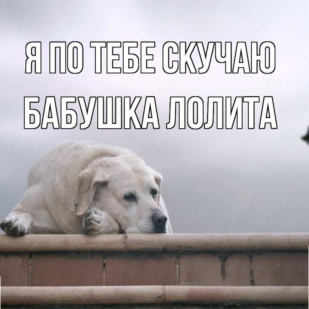 Открытка на каждый день с именем, Бабушка-Лолита Я по тебе скучаю ждет Прикольная открытка с пожеланием онлайн скачать бесплатно 