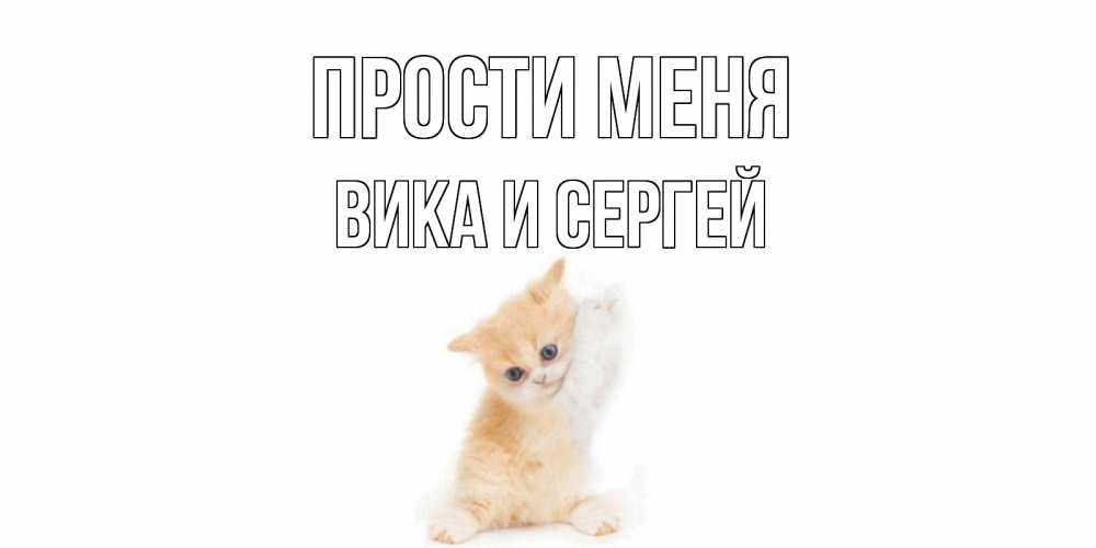 Открытка на каждый день с именем, Вика-и-Сергей Прости меня кот Прикольная открытка с пожеланием онлайн скачать бесплатно 