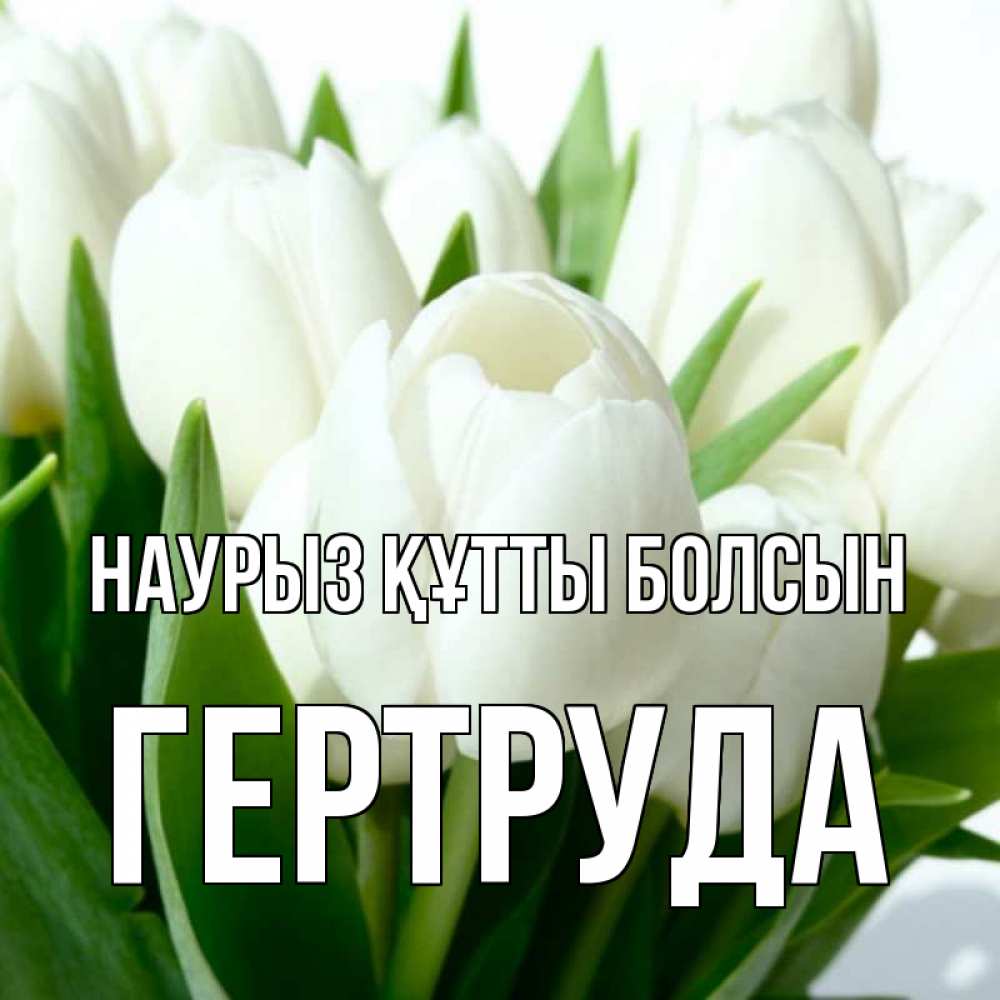 Открытка на каждый день с именем, Гертруда Наурыз құтты болсын цветы Прикольная открытка с пожеланием онлайн скачать бесплатно 