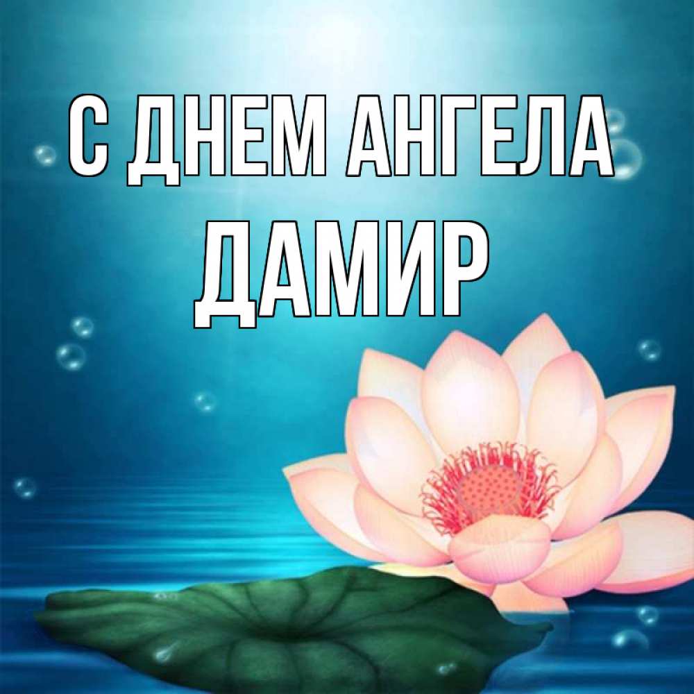 Открытка на каждый день с именем, Дамир С днем ангела кувшинка Прикольная открытка с пожеланием онлайн скачать бесплатно 