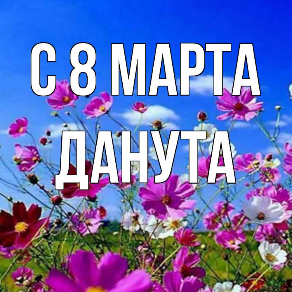 Открытка на каждый день с именем, Данута С 8 МАРТА цветы Прикольная открытка с пожеланием онлайн скачать бесплатно 