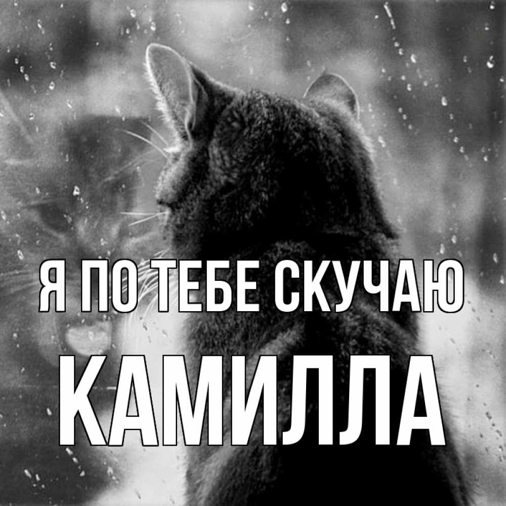 Открытка на каждый день с именем, Камилла Я по тебе скучаю скорее ко мне приходи 1 Прикольная открытка с пожеланием онлайн скачать бесплатно 