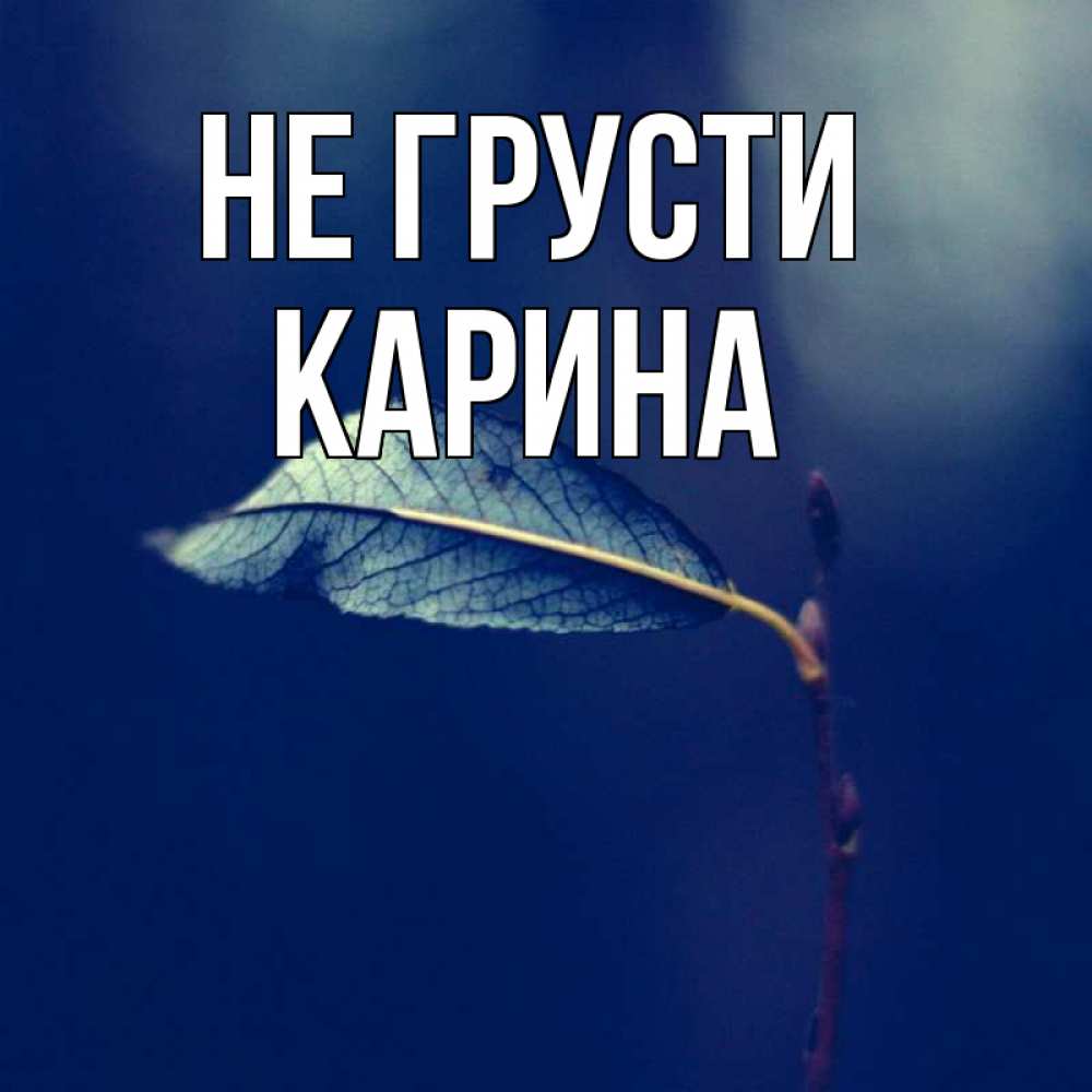 Открытка на каждый день с именем, Карина Не грусти растение Прикольная открытка с пожеланием онлайн скачать бесплатно 