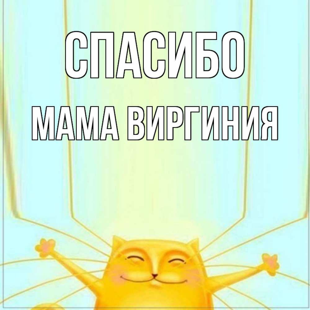 Открытка на каждый день с именем, Мама-Виргиния Спасибо кот с усами благодарит Прикольная открытка с пожеланием онлайн скачать бесплатно 