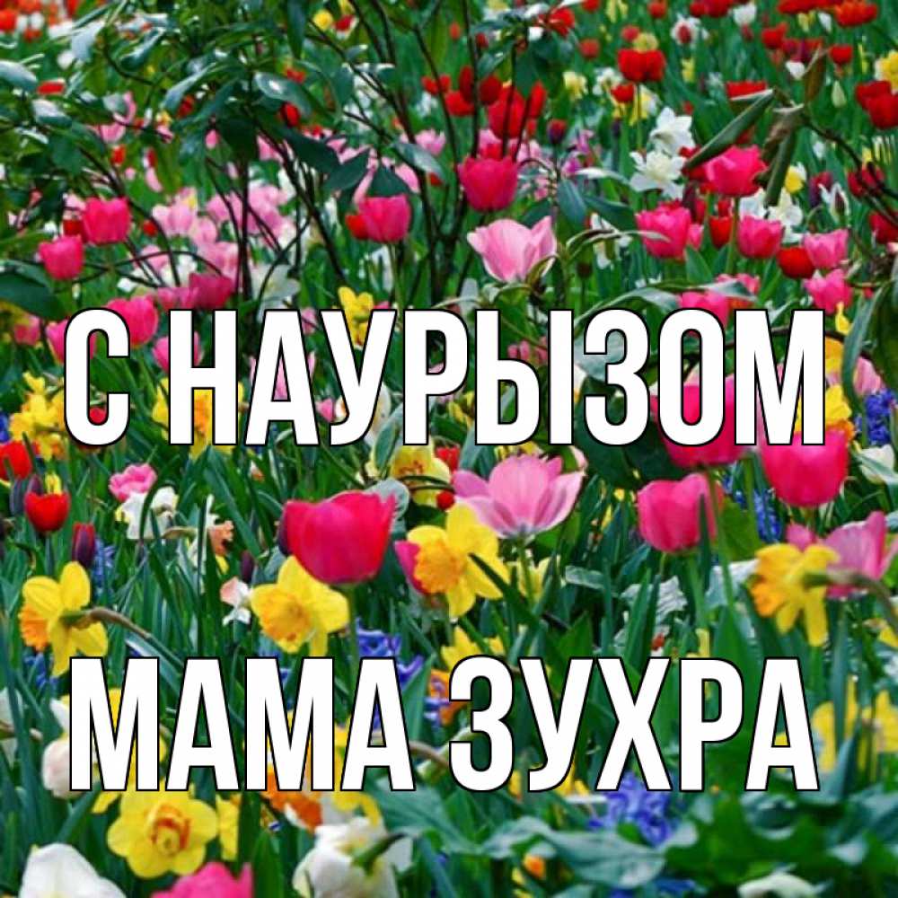Открытка на каждый день с именем, Мама-Зухра С наурызом с наурызом праздником весны поздравления для женщины Прикольная открытка с пожеланием онлайн скачать бесплатно 