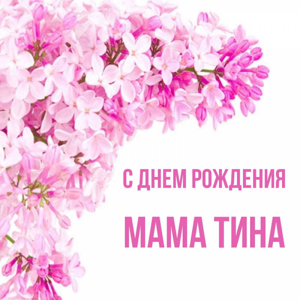 Открытка на каждый день с именем, Мама-Тина С днем рождения Сирень на белом фоне Прикольная открытка с пожеланием онлайн скачать бесплатно 