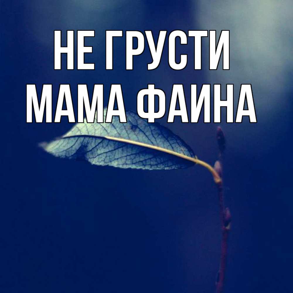 Открытка на каждый день с именем, Мама-Фаина Не грусти растение Прикольная открытка с пожеланием онлайн скачать бесплатно 