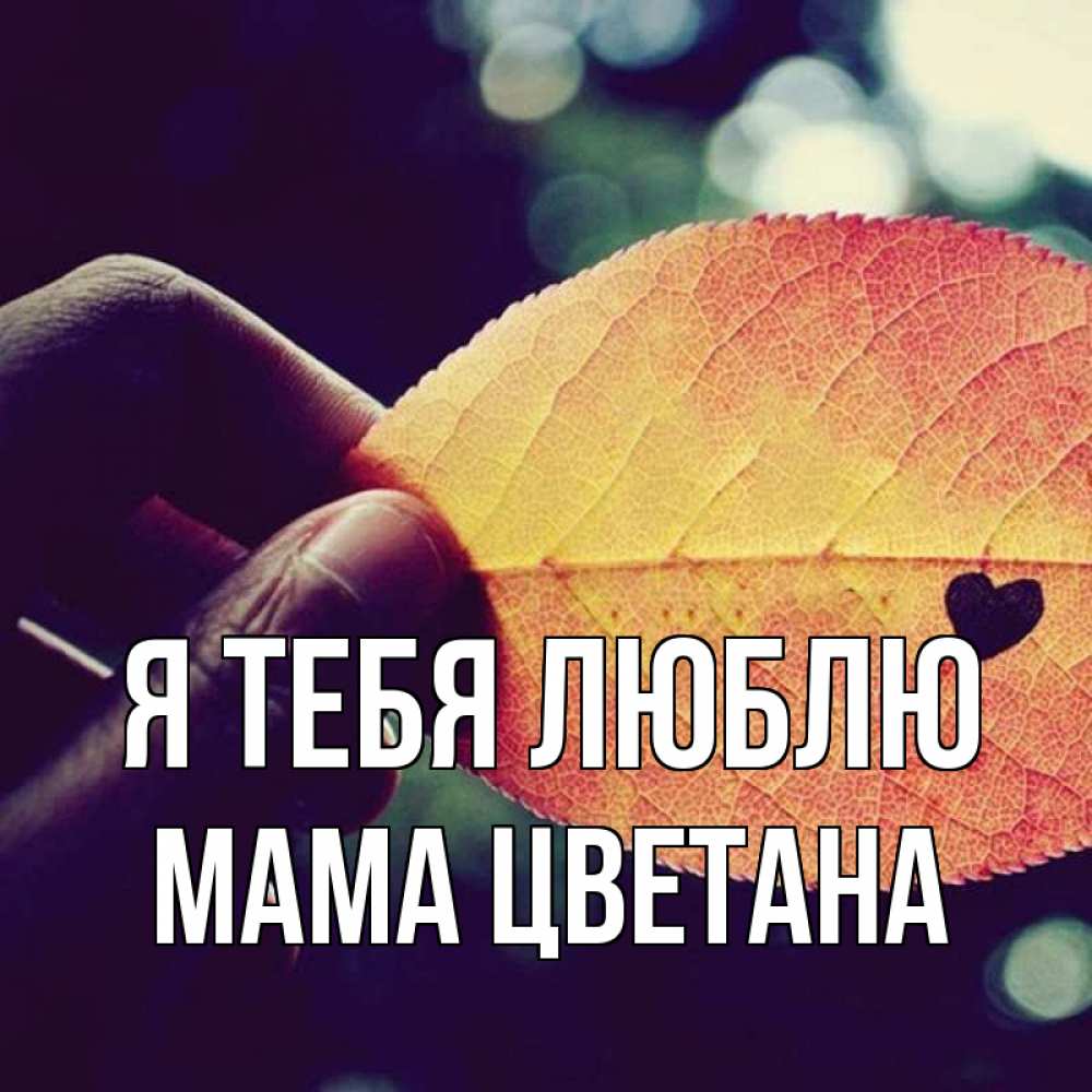 Открытка на каждый день с именем, Мама-Цветана Я тебя люблю держу лист Прикольная открытка с пожеланием онлайн скачать бесплатно 
