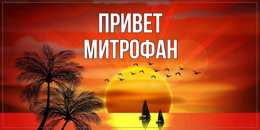 Открытка на каждый день с именем, Митрофан Привет привет Прикольная открытка с пожеланием онлайн скачать бесплатно 