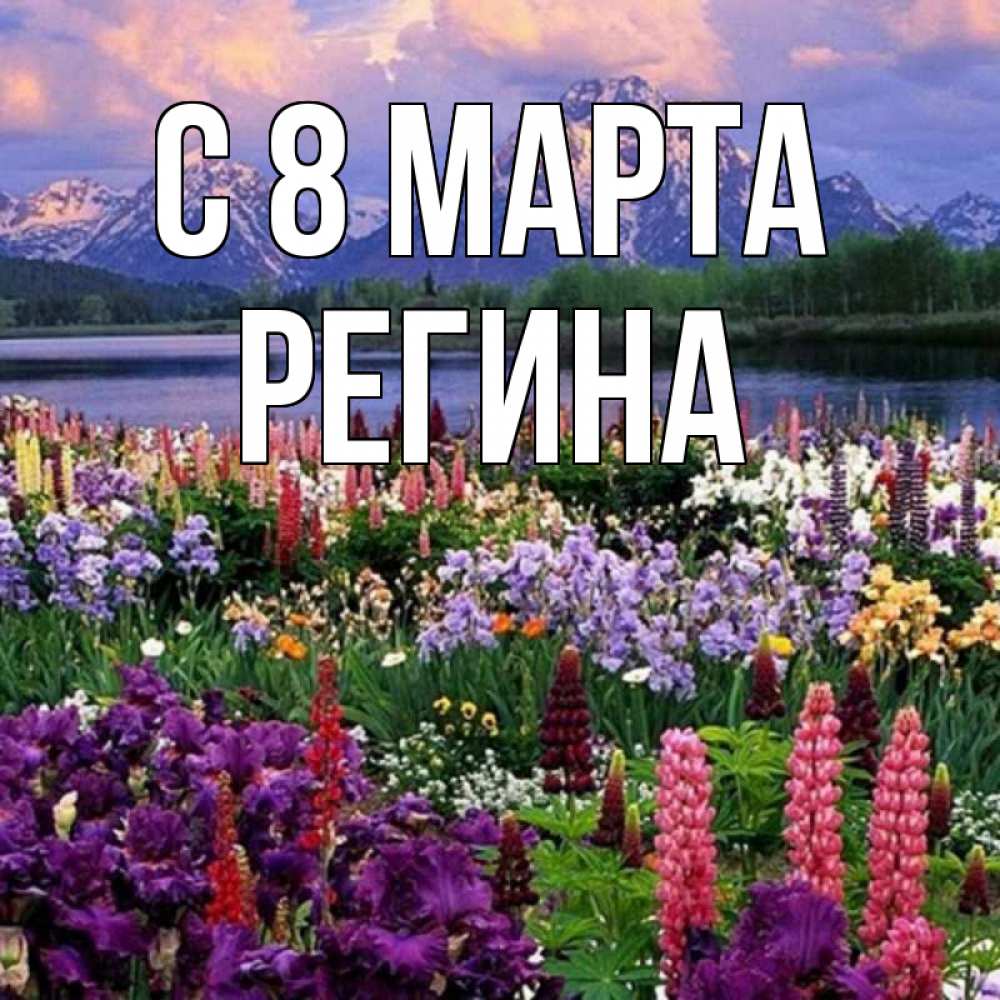 Открытка на каждый день с именем, Регина С 8 марта международный женский день Прикольная открытка с пожеланием онлайн скачать бесплатно 
