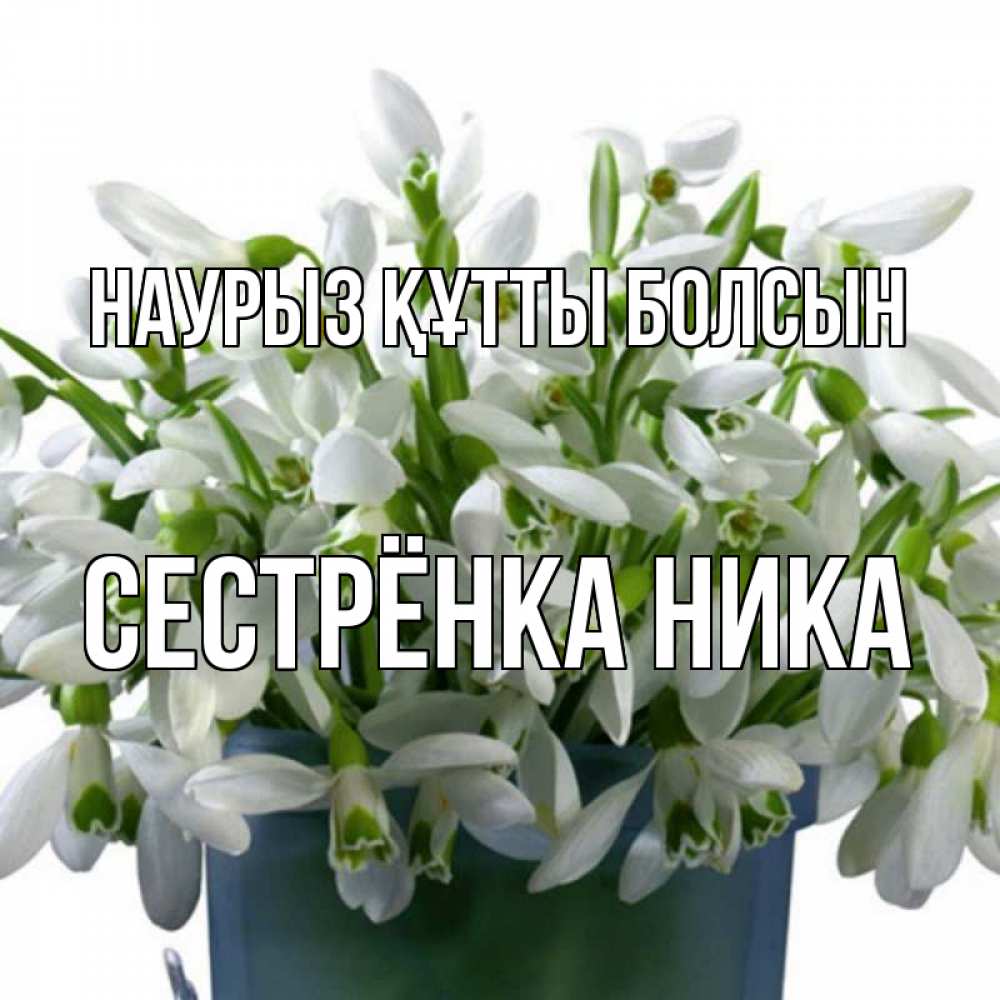 Открытка на каждый день с именем, Сестрёнка-Ника Наурыз құтты болсын цветы к наурызу Прикольная открытка с пожеланием онлайн скачать бесплатно 
