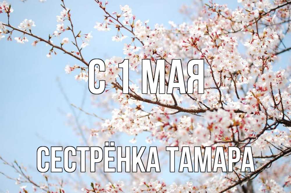 Открытка на каждый день с именем, Сестрёнка-Тамара С 1 мая С 1 мая Прикольная открытка с пожеланием онлайн скачать бесплатно 